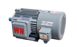 YXVF(YVP)系列變頻調速電動機-湖南電機