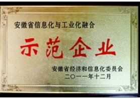 安徽省信息化與工業(yè)化融合示範(fàn)企業(yè)