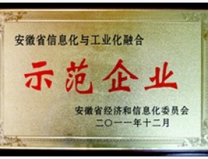 安徽省信息化與工業(yè)化融合示範(fàn)企業(yè)