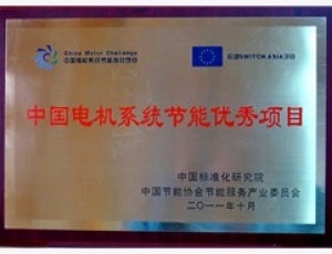 中國(guó)電(diàn)機系統節能******項目