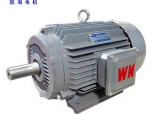 YE3超高效三相異步電(diàn)動(dòng)機-湖南電(diàn)機