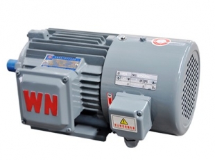 YXVF(YVP)系列變(biàn)頻調速電(diàn)動機-湖南電機