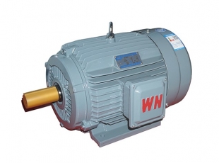 YE2系列高效率三相異步電(diàn)動(dòng)機-湖南電(diàn)機