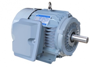 NE系列高效高轉矩三相異步電(diàn)動(dòng)機-湖南電(diàn)機