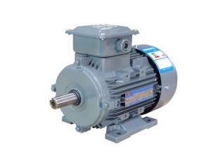 YXL系列高效率鋁機殼三相異步電(diàn)動(dòng)機-湖南電(diàn)機