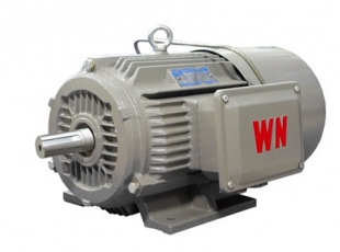 YXEJ系列電(diàn)磁制動(dòng)三相異步電(diàn)動(dòng)機-湖南電(diàn)機