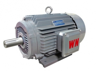 YE3系列超高效三相異步電(diàn)動(dòng)機-湖南電(diàn)機