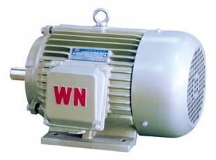 YH2系列高轉差率三相異步電(diàn)動(dòng)機-湖南電(diàn)機