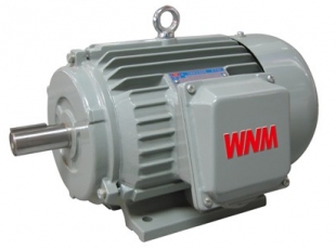 YJZ2系列機床專用三相異步電(diàn)動(dòng)機-湖南電(diàn)機
