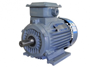 YX3系列超高效三相異步電(diàn)動(dòng)機-湖南電(diàn)機