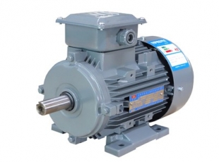 YE2系列高效率三相異步電(diàn)動(dòng)機-湖南電(diàn)機