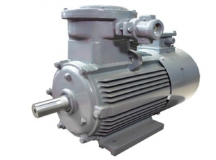 YBBP系列隔爆型變(biàn)頻調速三相異步電(diàn)動機-湖南防爆電(diàn)機