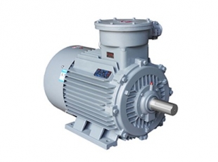 YBX3系列高效率隔爆型三相異步電(diàn)動(dòng)機-湖南防爆電(diàn)機