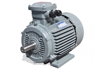 YFB3系列高效率粉塵(chén)防爆三相異步電(diàn)動-湖南防爆電(diàn)機