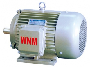 YD2系列變(biàn)極多速三相異步電(diàn)動機