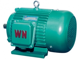 YDT系列變(biàn)極多速三相異步電(diàn)動機