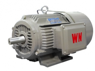 YEJ2系列電(diàn)磁制動(dòng)三相異步電(diàn)動(dòng)機-湖南電(diàn)機