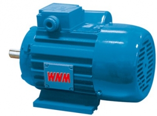 YY系列單(dān)相異步電動機-湖南變(biàn)頻電機