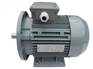 YXL系列開門空壓機(jī)用電(diàn)機(jī)