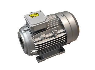 YYVF2系列新能源汽車(chē)助力轉向泵電(diàn)機