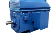 湖南變頻電機有哪些優勢？